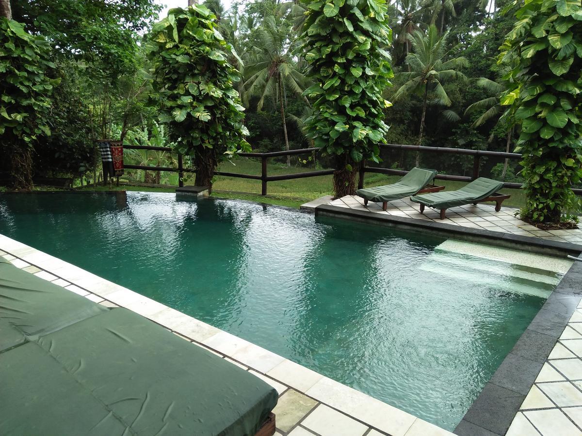 Villa Gaia Ubud Extérieur photo