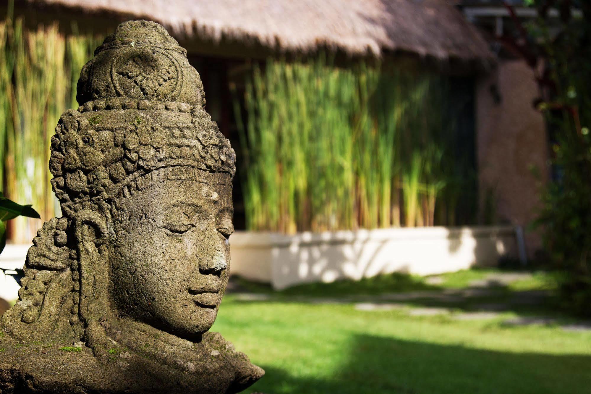 Villa Gaia Ubud Extérieur photo